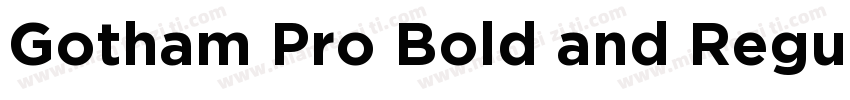 Gotham Pro Bold and Regular字体转换